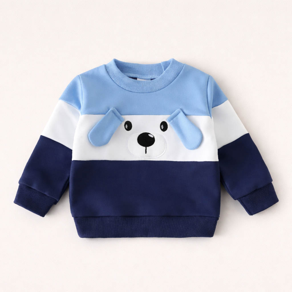 Blue Colour Block Sweatshirt