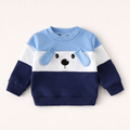 Blue Colour Block Sweatshirt